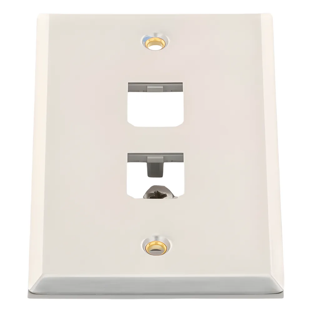 Placa de Pared Vertical, de Acero Inoxidable, Salida Para 2 Puertos Mini-Com – vista 3